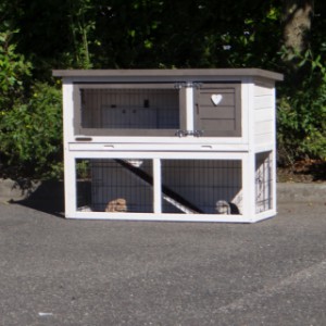 The hutch Marianne is suitable for guinea pigs