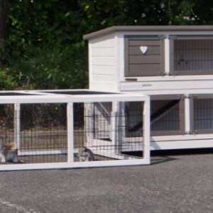 The rabbit hutch Adrian is extended with the Multirun