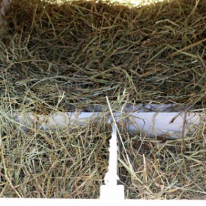 The Kathedraal XXL is provided with a nesting box