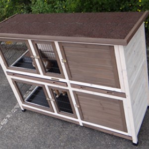 Guinea pig hutch Annely is made of pine wood