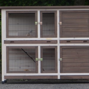 Guinea pig hutch Annely is an acquisition for your yard