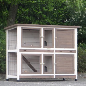 Guinea pig hutch Annely 155x60x120cm