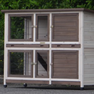 Guinea pig hutch Annely is an acquisition for your yard