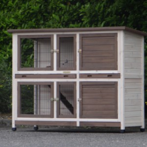 Guinea pig hutch Annely is also suitable for rabbits