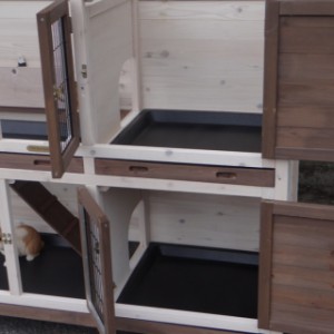 Rabbit hutch Annely | with 2 sleeping compartments