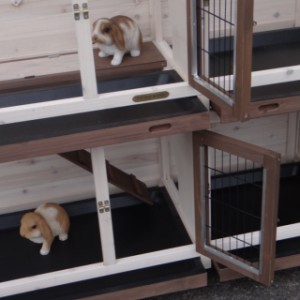Rabbit hutch Annely | with 2 floors