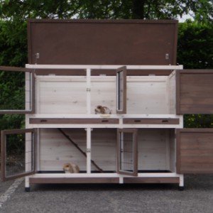 Rabbit hutch Annely | with large doors