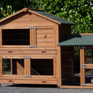 The rabbit hutch Excellent Medium is made of pine wood