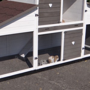 Thanks to the foundation, your animal shelter is raised off the ground
