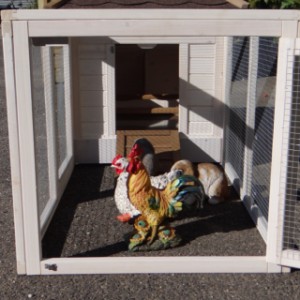 Have a look in the run of guinea pig hutch Ambiance Small