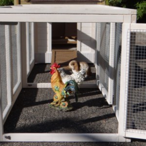 Have a look in the run of rabbit hutch Ambiance Small