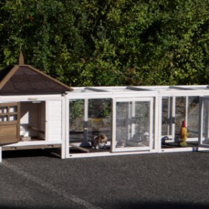 The hutch for your chickens Ambiance Small has many openings