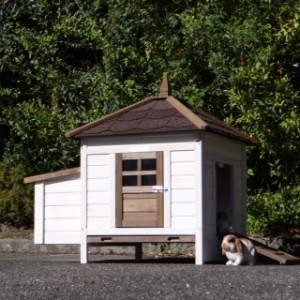 Rabbit hutch Ambiance Small is an acquisition for your yard