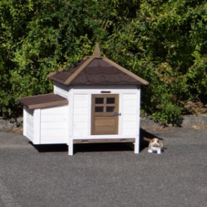Rabbit hutch Ambiance Small offers a lot of fun for your rabbits