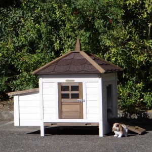 Rabbit hutch Ambiance Small · 108x77x99cm