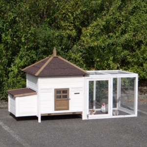 The guinea pig hutch Ambiance Large is an acquisition for your yard