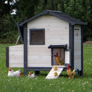 Chickencoop Nadine 125x75x114cm