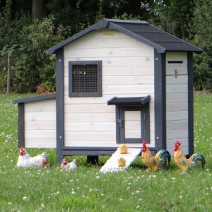 The chickencoop Nadine can be placed in a large run