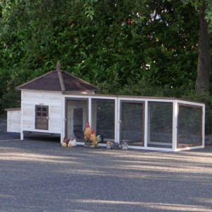 Chickencoop Ambiance Large with 2 covered runs 316x93x122cm