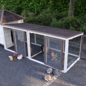 The hutch Ambiance Large offers a lot of space for your chickens