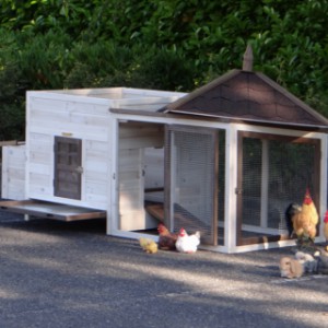 The rabbit hutch Ambiance Large has a removable roof