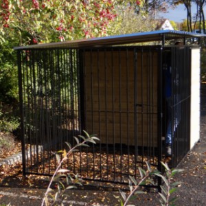 Kennel for dogs
