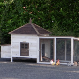 Guinea pig hutch Ambiance Large is extended with a covered run