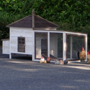 The chickencoop Ambiance Large is extended with a covered run