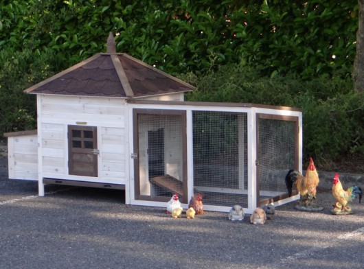 Chickencoop Ambiance Large with covered run 218x93x122cm
