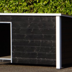 Insulated sleeping compartment for large dogs