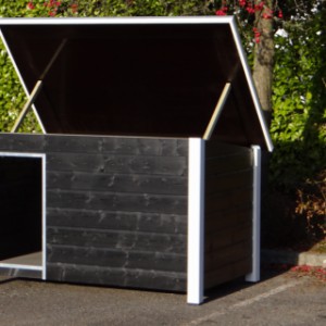 Doghouse with a hinged roof