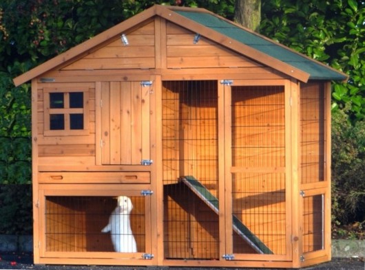 chewy rabbit hutch