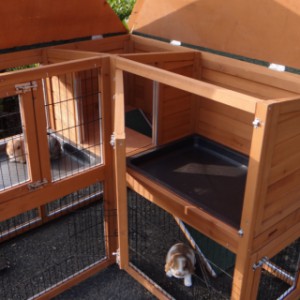 Rabbit hutch Maurice | corner stable