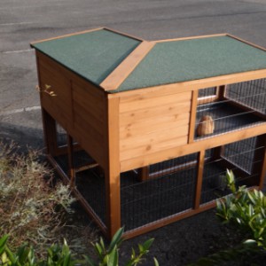 The roof of rabbit hutch Maurice is provided with green roofing felt