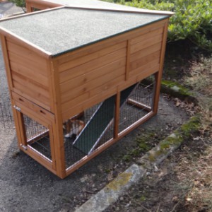 Have a look on the backside of rabbit hutch Maurice