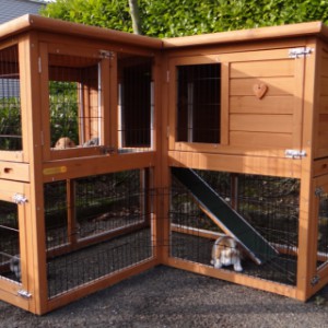 The rabbit hutch Maurice has a practical corner unit