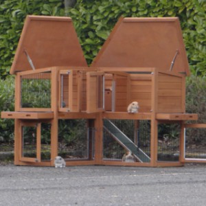 The rabbit hutch Maurice is provided with a hinged roof