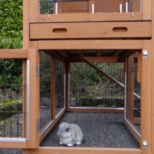 The rabbit hutch Maurice has a large run