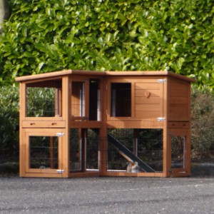 The practical corner unit of rabbit hutch Maurice need just a little space