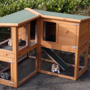 The guinea hutch Maurice has many possibilities to extend