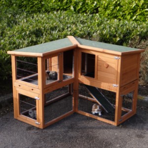 The rabbit hutch Maurice can be extended