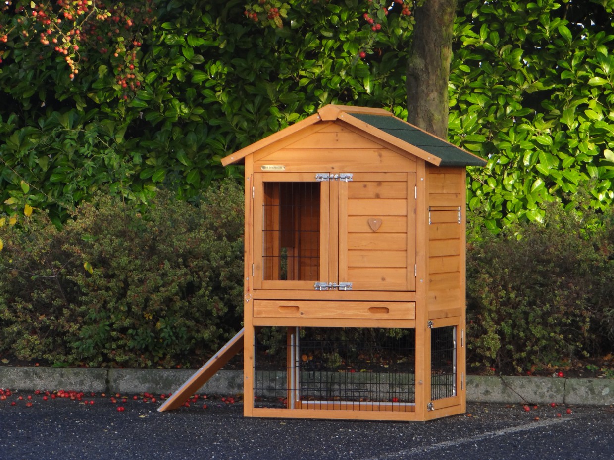 Chew proof rabbit hutch Prestige Small