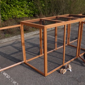 Animal run Functional is provided with 4 doors