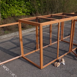 The animal run Functional is provided with a mesh roof