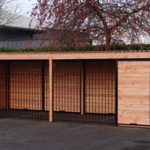 Kennel of 12 m² with roof