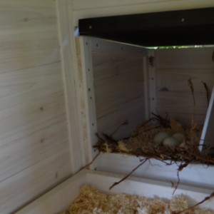 Have a look inside the nesting box of rabbit hutch Kathedraal XL