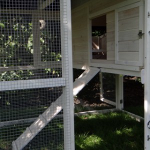 Chicken coop with lockable sleeping compartment