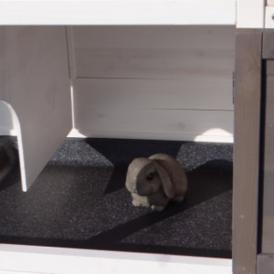 The sleeping compartment of the rabbit hutch Excellent Medium has the dimensions 43x52cm