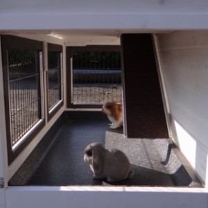 The ramp of rabbit hutch Excellent Medium is provided with roofing felt