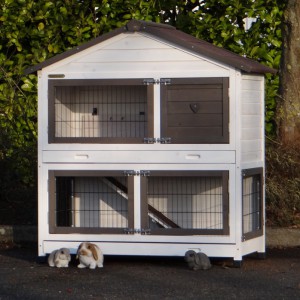 Rabbit hutch Excellent Medium with insulation kit and chewprotection